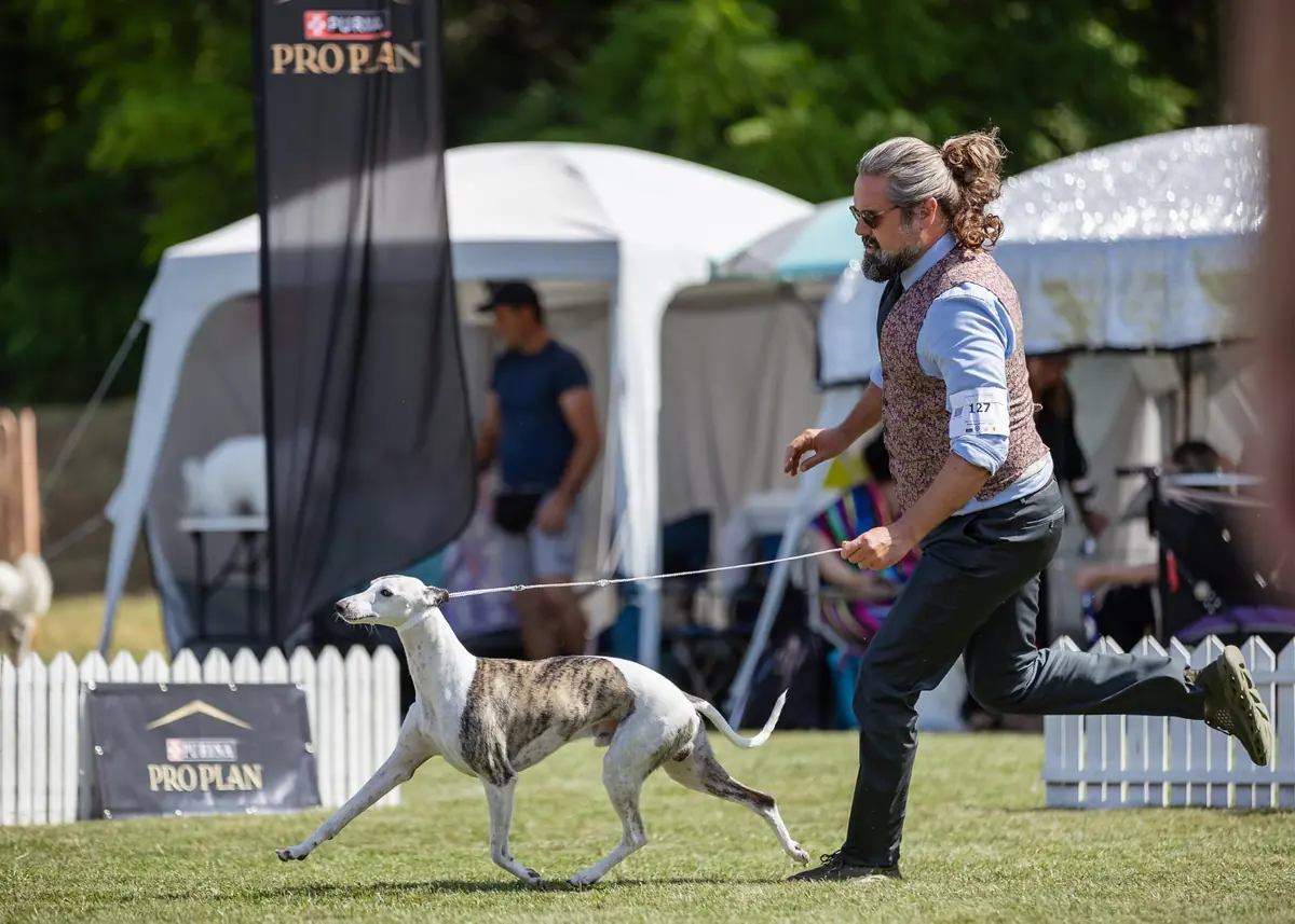 Breeding with purpose presentation with feeling.