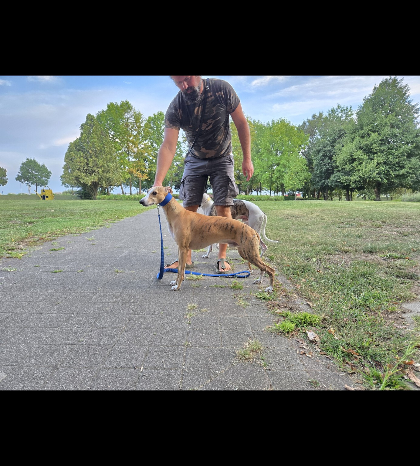 Applaus N’Ovation Magic Noblesse · Nobi in profile