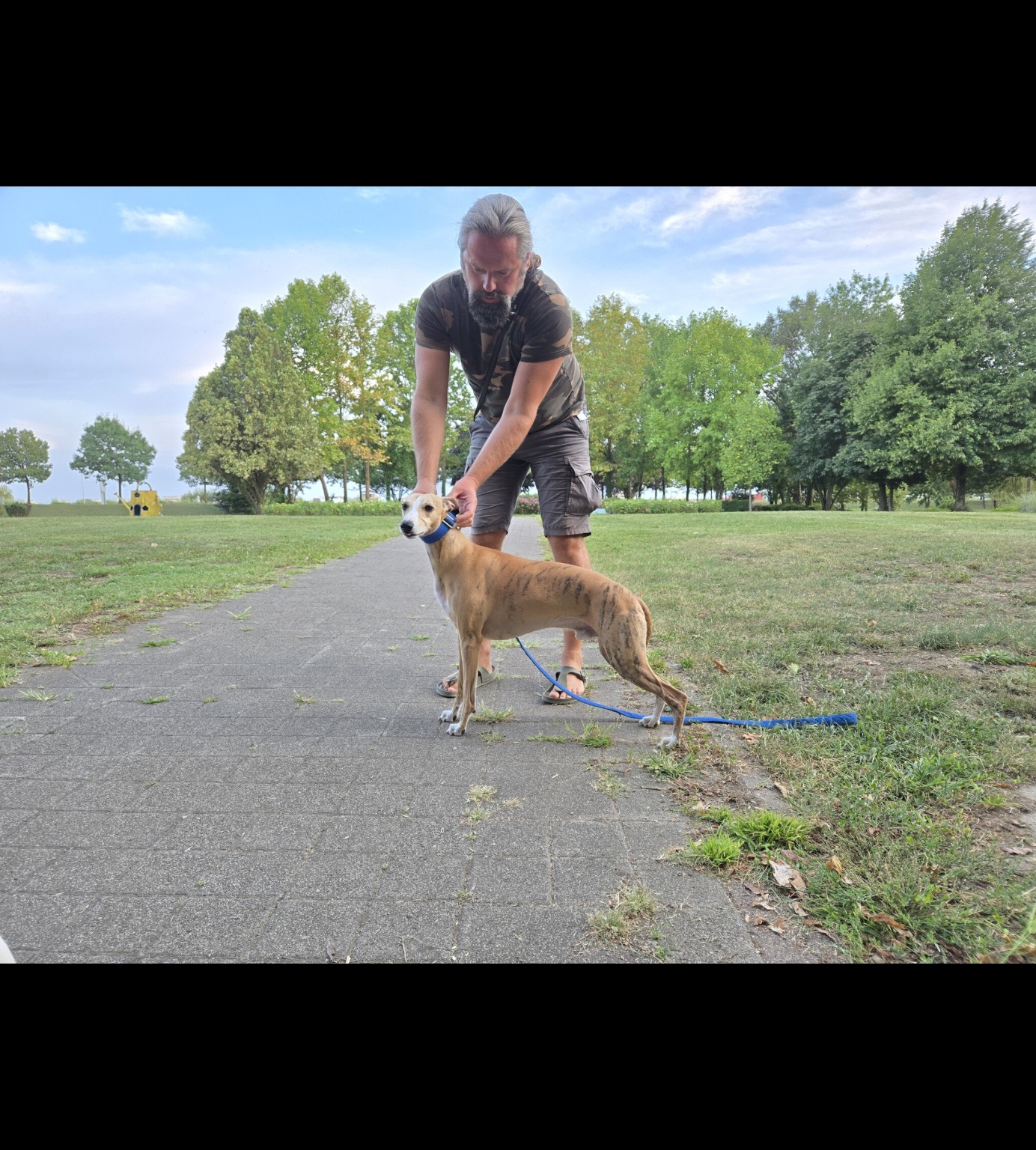 Applaus N’Ovation Magic Noblesse · Nobi standing